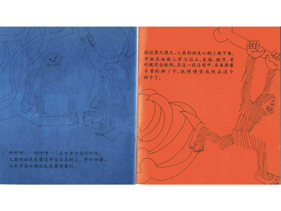 儿童绘本故事推荐世界优秀科学图画书《脚丫子的故事》