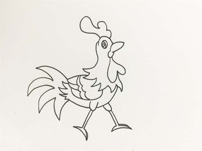 艳丽的大公鸡简笔画怎么画