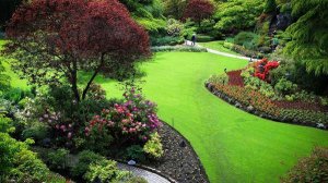 美丽的花园作文300字（精选12篇）