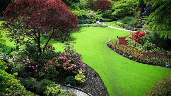 美丽的花园作文300字