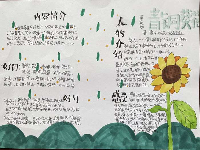 青铜葵花手抄报图片及内容五年级