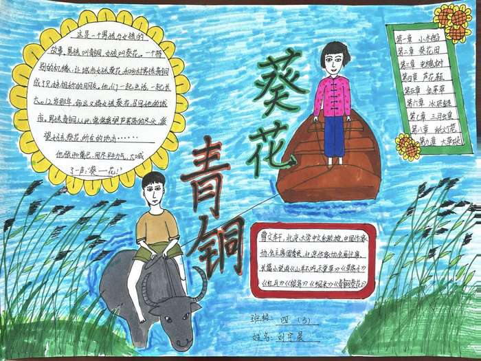 青铜葵花手抄报图片及内容五年级
