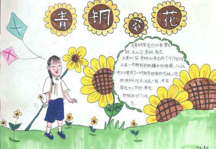 青铜葵花手抄报图片及内容五年级