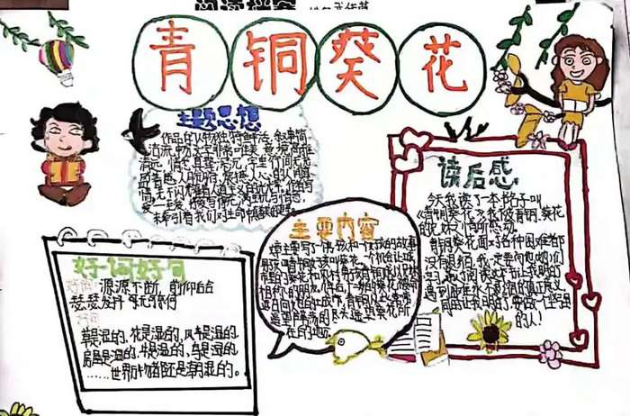 青铜葵花手抄报图片及内容五年级
