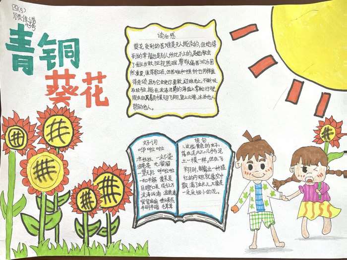 青铜葵花手抄报图片及内容五年级