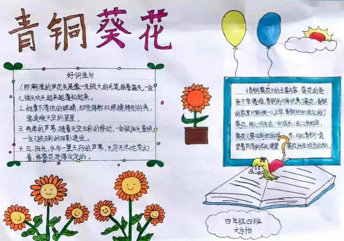 青铜葵花手抄报图片及内容五年级