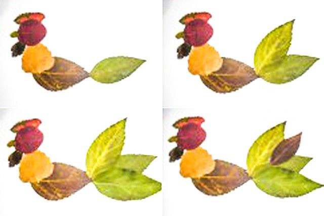 秋天树叶手工粘贴画大公鸡