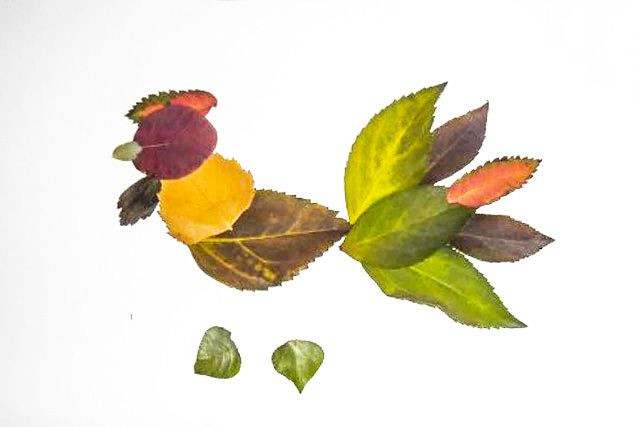 秋天树叶手工粘贴画大公鸡