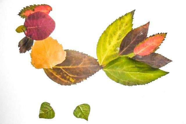 秋天树叶手工粘贴画大公鸡