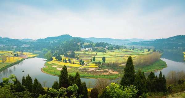 跟着课本学写作文开头，这4个小技巧请收好