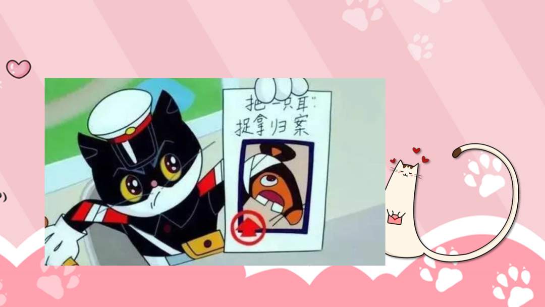 幼儿园小班科学教案：前前后后