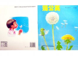 儿童绘本故事推荐世界优秀科学图画书《蒲公英