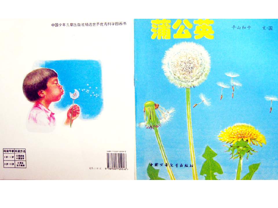 儿童绘本故事推荐世界优秀科学图画书《蒲公英》