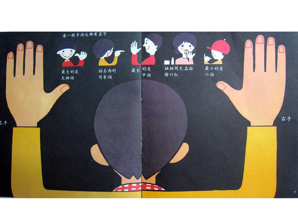 儿童绘本故事推荐世界优秀科学图画书《手和手指头》