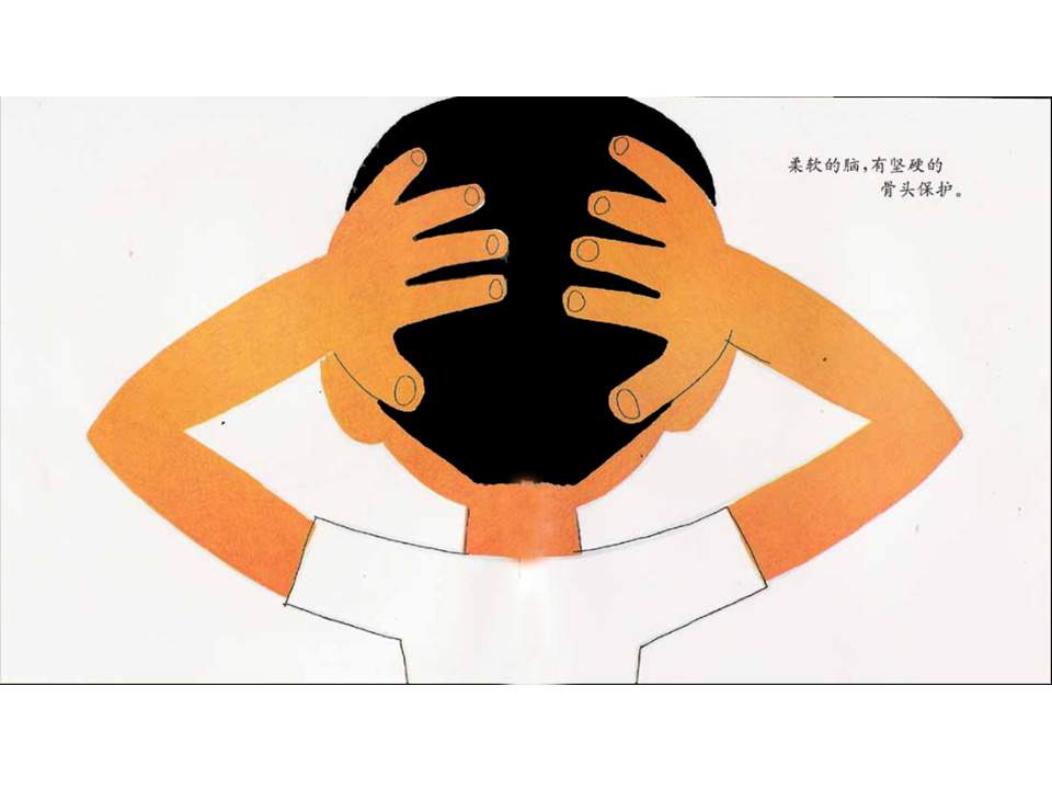 儿童绘本故事推荐世界优秀科学图画书《我们的头脑》