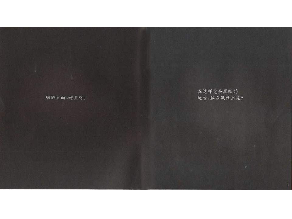 儿童绘本故事推荐世界优秀科学图画书《我们的头脑》