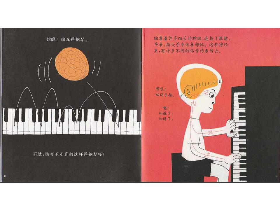 儿童绘本故事推荐世界优秀科学图画书《我们的头脑》