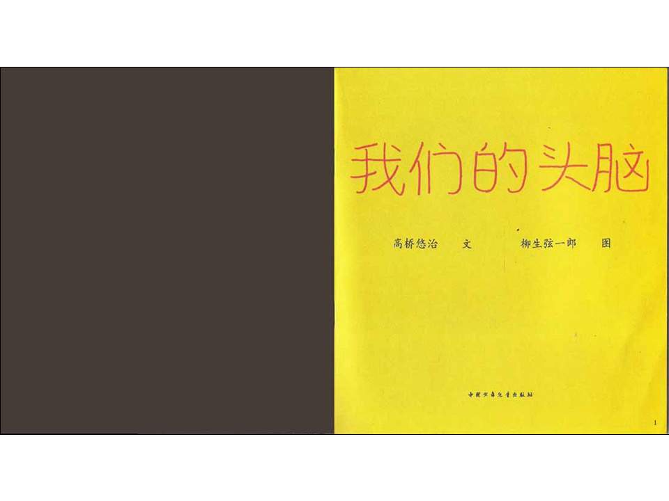 儿童绘本故事推荐世界优秀科学图画书《我们的头脑》