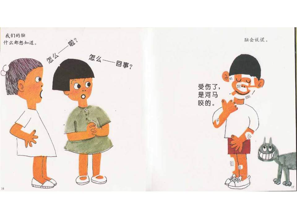 儿童绘本故事推荐世界优秀科学图画书《我们的头脑》