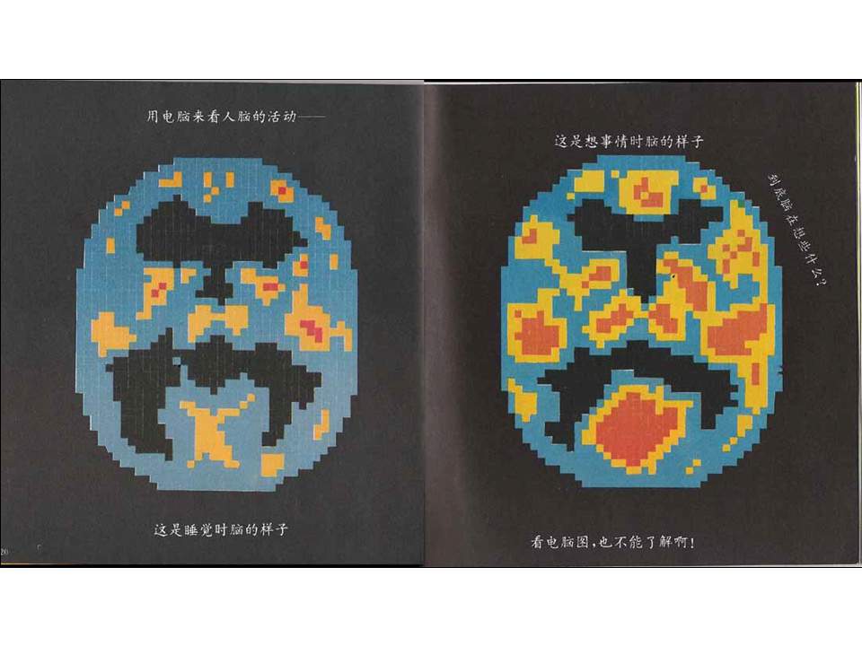 儿童绘本故事推荐世界优秀科学图画书《我们的头脑》