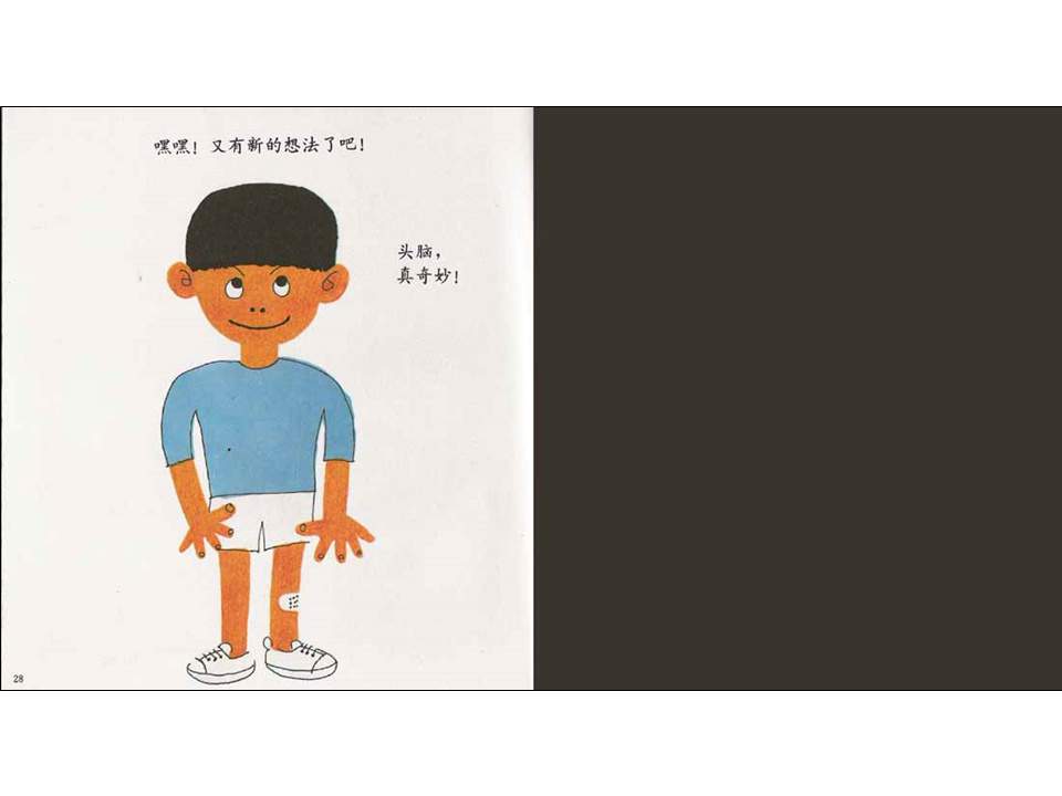 儿童绘本故事推荐世界优秀科学图画书《我们的头脑》