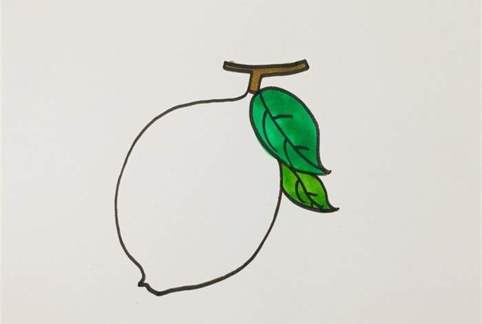 柠檬简笔画画法