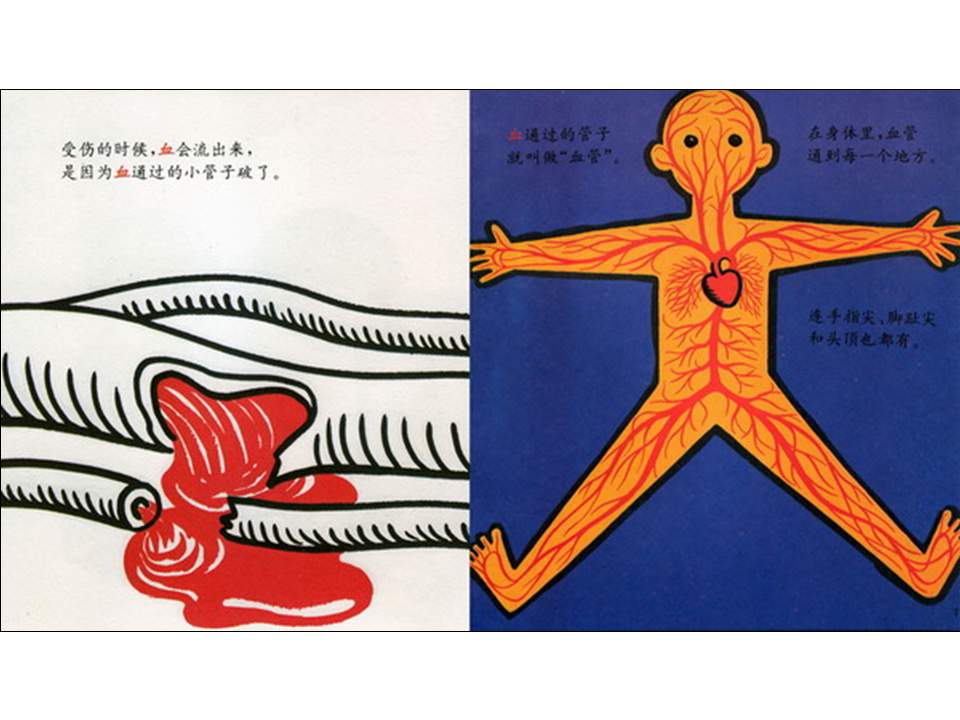 儿童绘本故事推荐世界优秀科学图画书《血的故事》