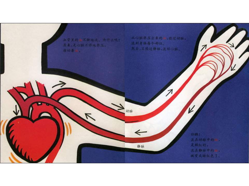 儿童绘本故事推荐世界优秀科学图画书《血的故事》