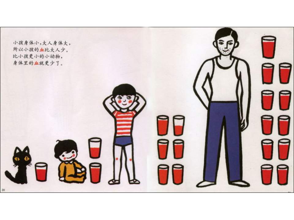 儿童绘本故事推荐世界优秀科学图画书《血的故事》
