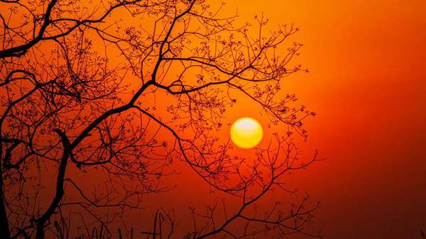 莫道桑榆晚的下一句