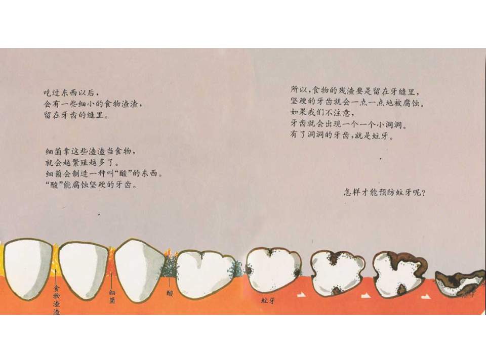 儿童绘本故事推荐世界优秀科学图画书《牙齿的故事》