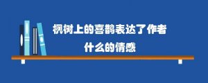 枫树上的喜鹊表达了作者什么的情感