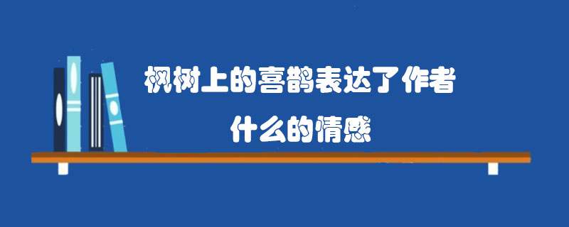 枫树上的喜鹊表达了作者什么的情感