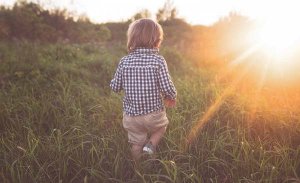 广字旁的字 广字旁最吉利的字