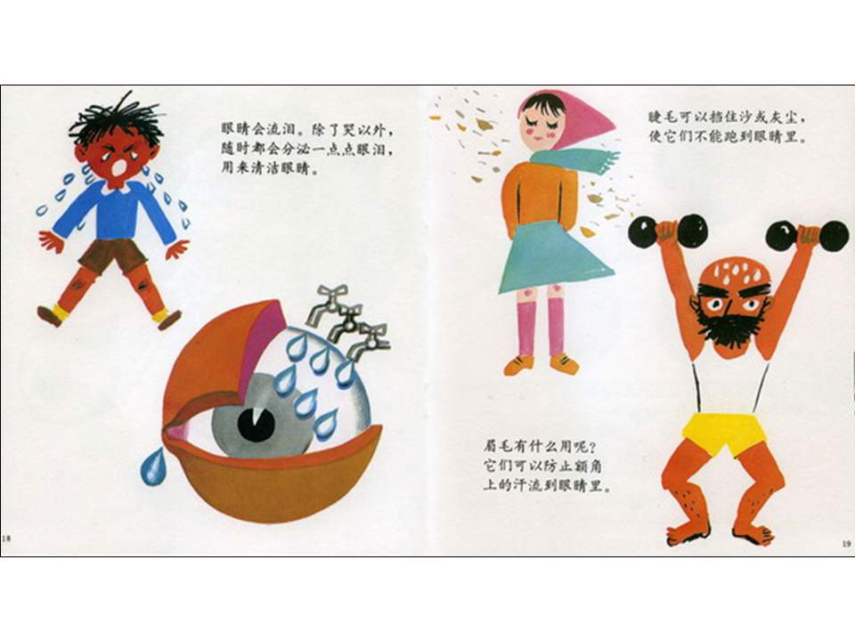 儿童绘本故事推荐世界优秀科学图画书《眼睛的故事》