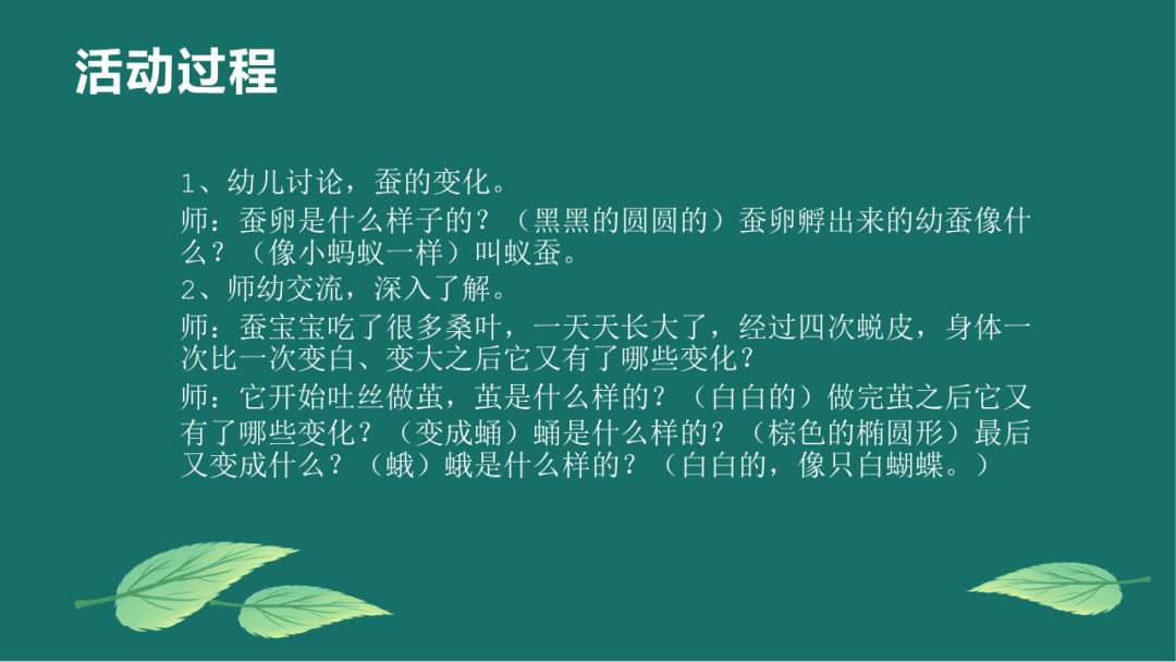 幼儿园大班语言教案：蚕宝宝