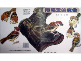 儿童绘本故事推荐世界优秀科学图画书《雨靴里