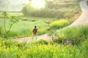 三年级写上学路上的景色（精选6篇）