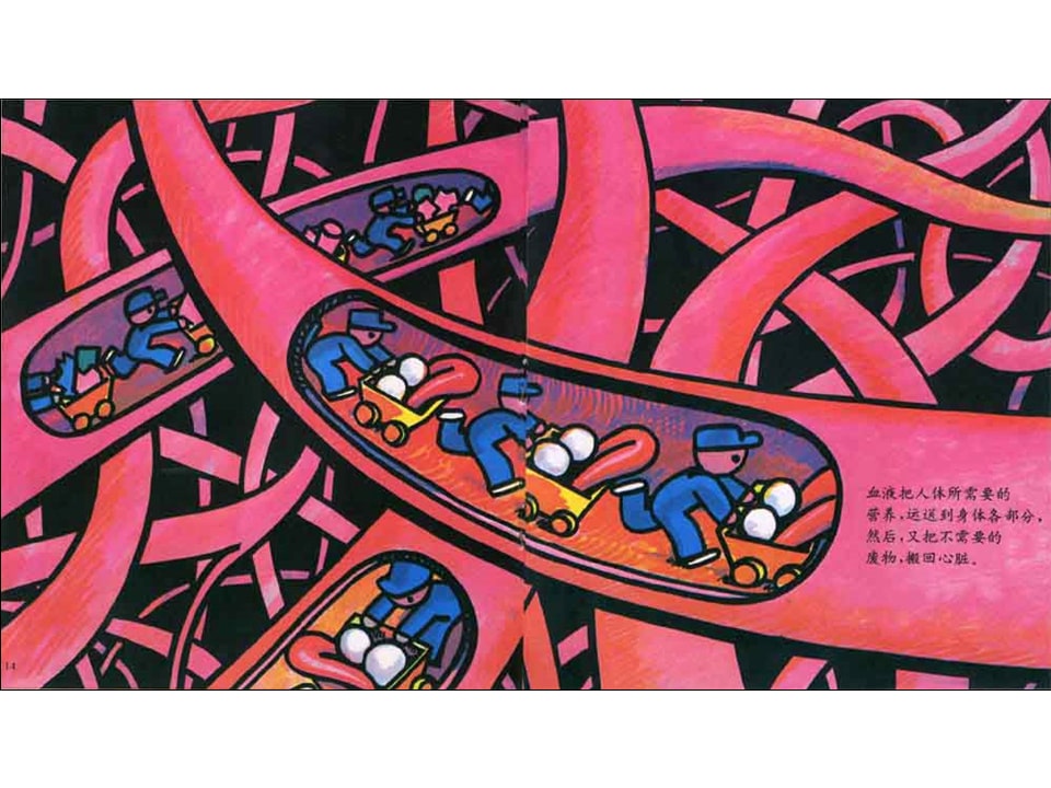 儿童绘本故事推荐世界优秀科学图画书《着凉》