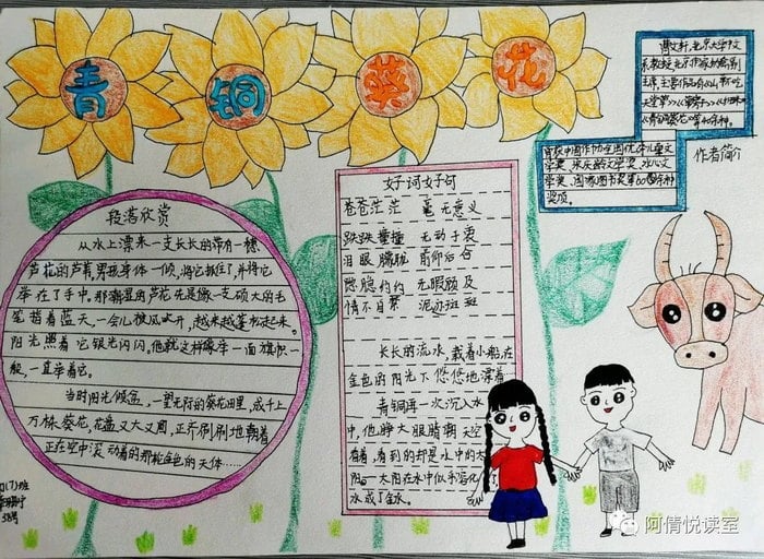 青铜葵花手抄报图片及内容