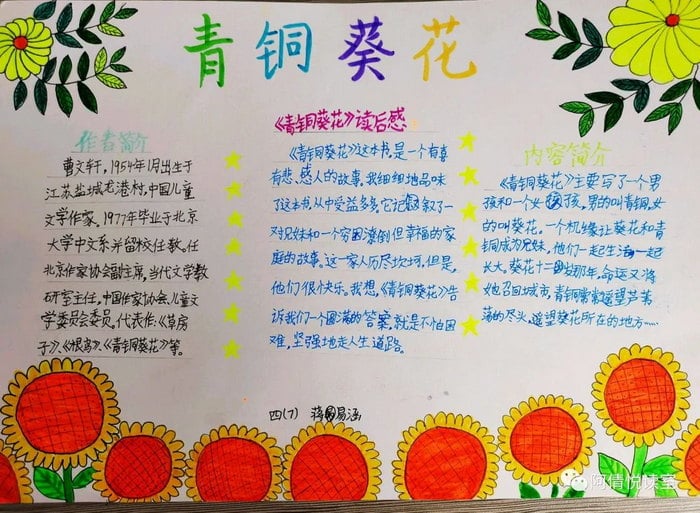 青铜葵花手抄报图片及内容