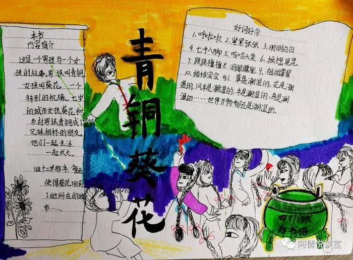 青铜葵花手抄报图片及内容