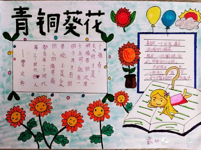 青铜葵花手抄报图片及内容