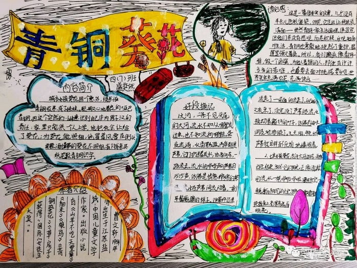 青铜葵花手抄报图片及内容
