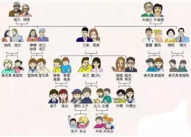 爸爸和伯伯哪个大