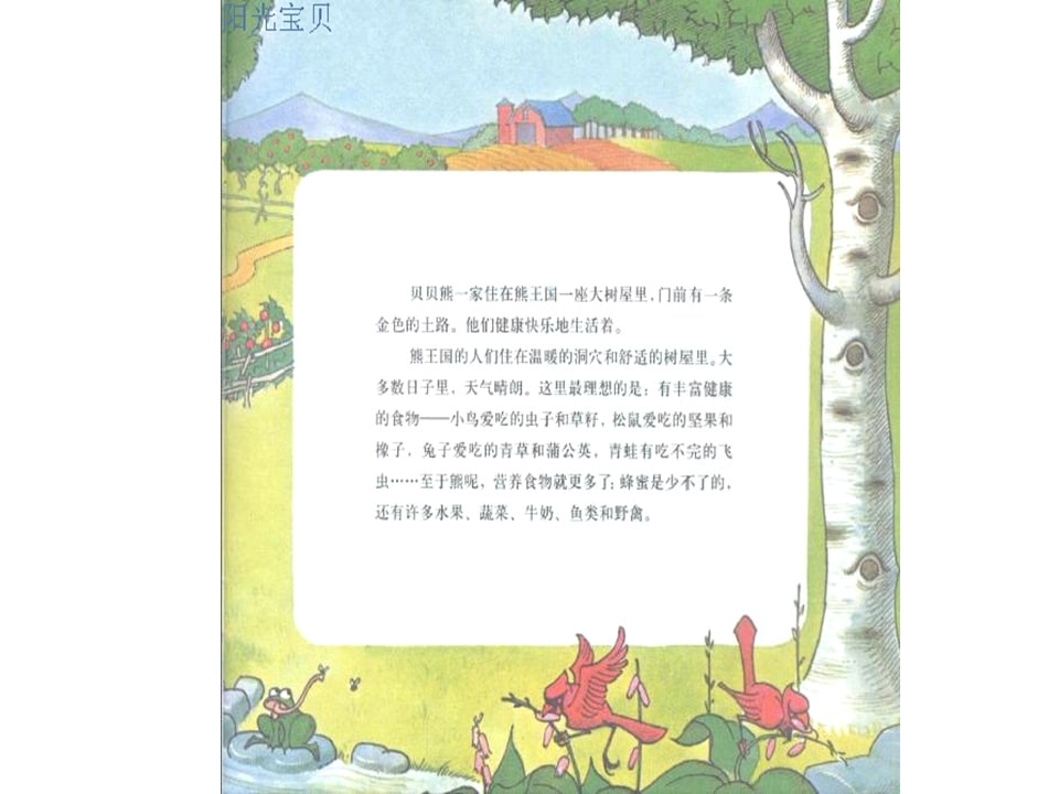 幼儿园绘本故事推荐贝贝熊系列丛书《科学饮食》