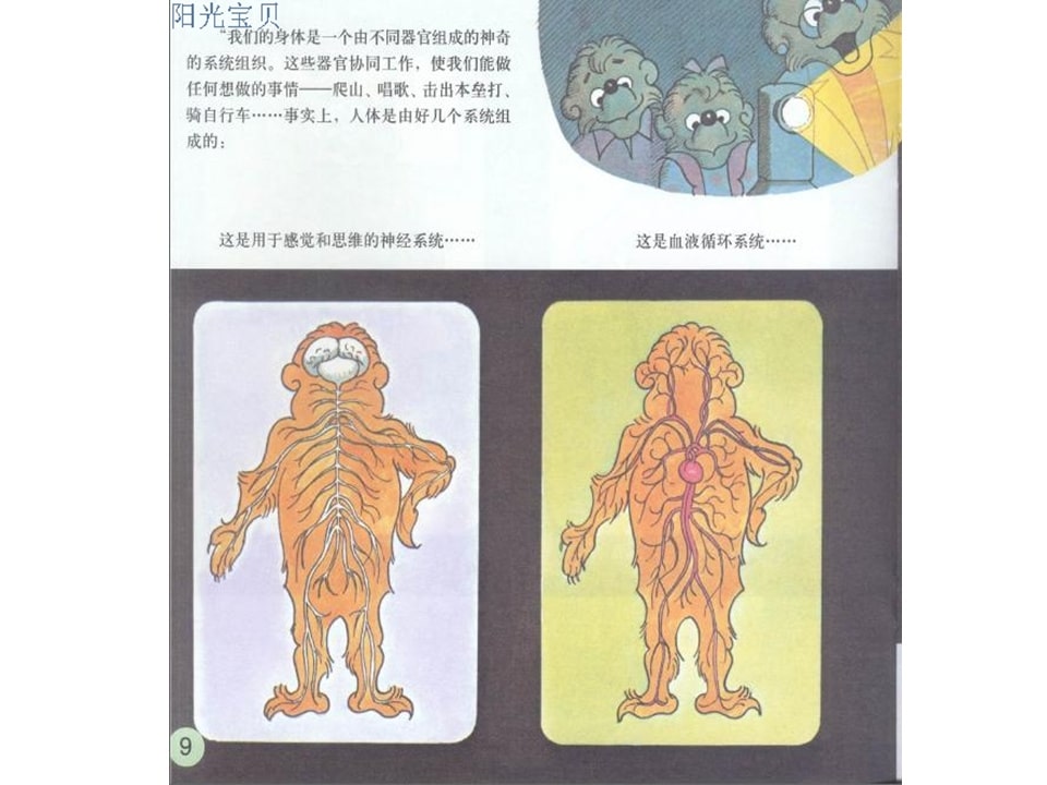 幼儿园绘本故事推荐贝贝熊系列丛书《科学饮食》