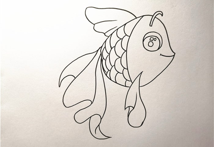 小金鱼简笔画怎么画漂亮教程