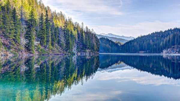 最好的礼物600字作文