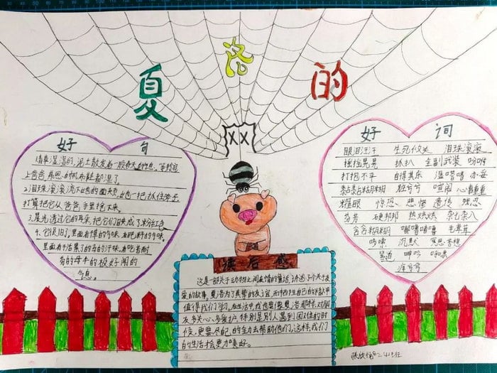 夏洛的网手抄报图片及内容